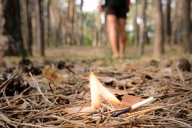 Am häufigsten werden Waldbrände durch Vorsatz oder Fahrlässigkeit verursacht