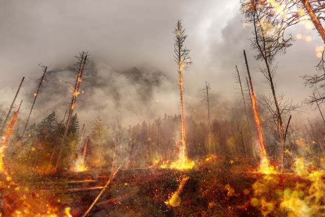 Naturkatastrophe Waldbrand